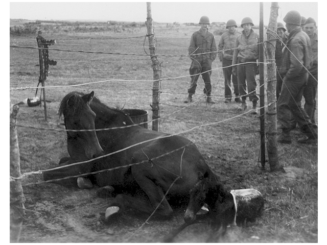 Anzio 1944 - U.S. 3rd Infantry Division Photography WWII