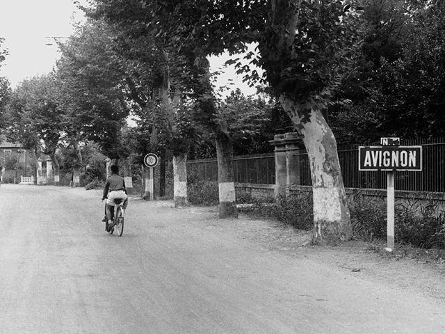 Avignon 1944 - U.S. 3rd Infantry Division Photography WWII