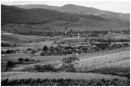 Ammerschwihr