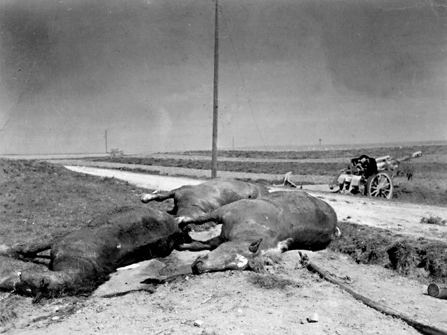 Brunn, Germany 1945 - U.S. 3rd Infantry Division Photography WWII