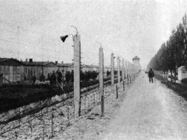 Dachau, Germany 1945 - U.S. 3rd Infantry Division Photography WWII