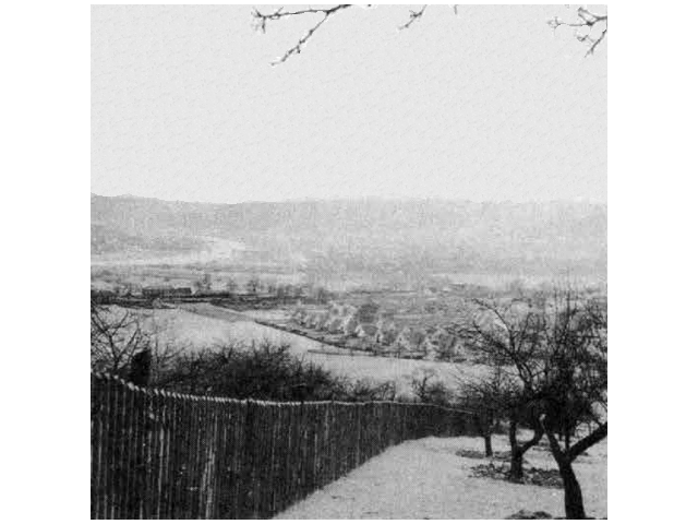 Lohr, Germany 1945 - U.S. 3rd Infantry Division Photography WWII