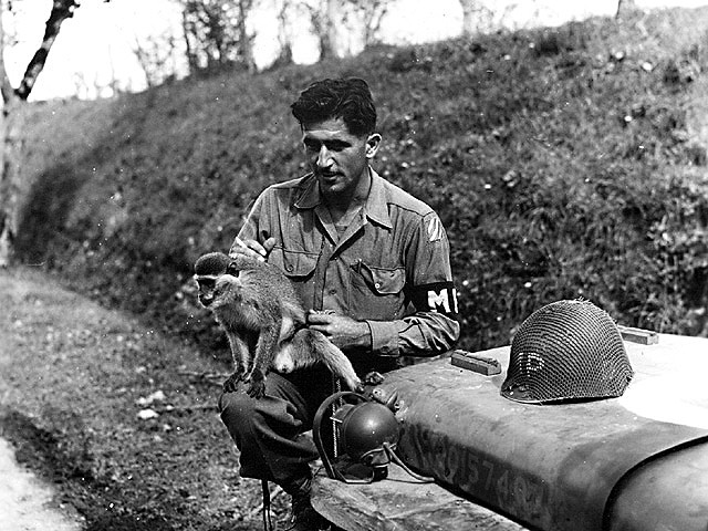 Pomoy 1944 - U.S. 3rd Infantry Division Photography WWII